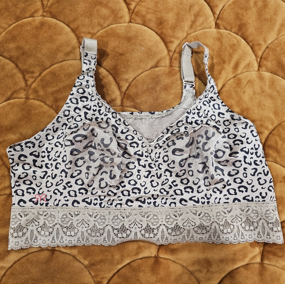 Ruby Ribbon Lace Demi